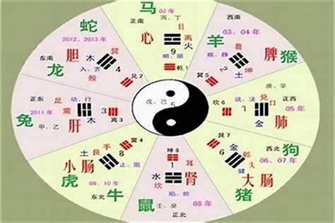 浚五行|浚字的五行属性